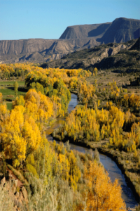 Fall trees on the ChamaRiver